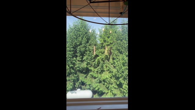 Smart Tint® installation